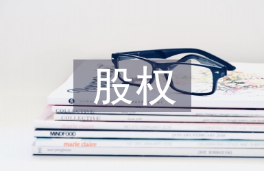 股權(quán)結(jié)構(gòu)設(shè)計(jì)案例