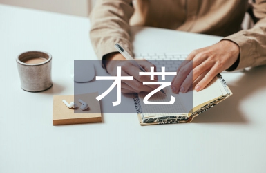 才藝展示活動(dòng)總結(jié)