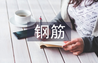 鋼筋工種實訓(xùn)總結(jié)