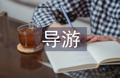 導(dǎo)游培訓(xùn)總結(jié)