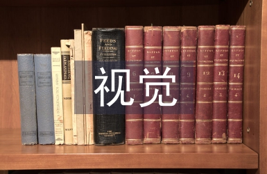 視覺藝術設計中圖形文字的運用