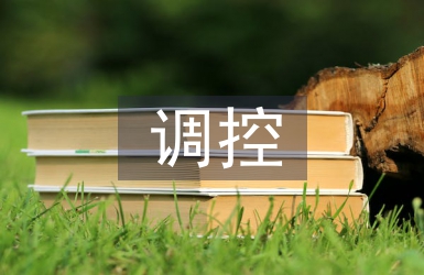 房地產(chǎn)價格調(diào)控