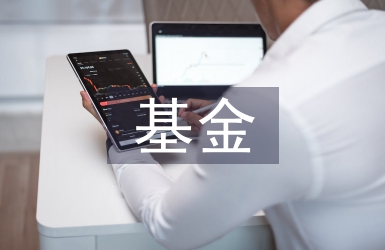 私募基金的投資策略