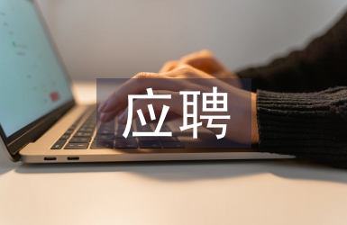 應(yīng)聘工作思路