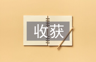 畢業(yè)設(shè)計體會與收獲