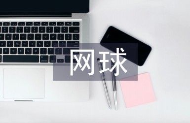 網(wǎng)球協(xié)會年度工作計劃