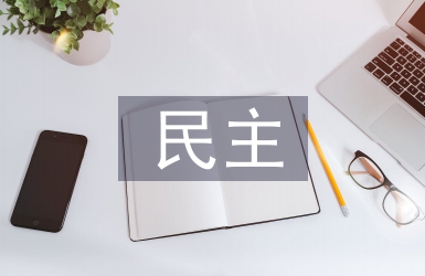 民主政治論文