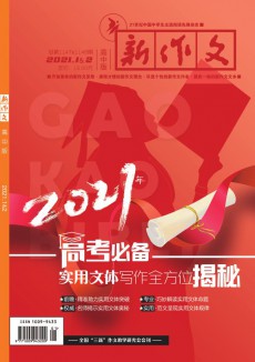 新作文·高中版