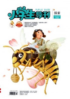 小學生導刊·中年級