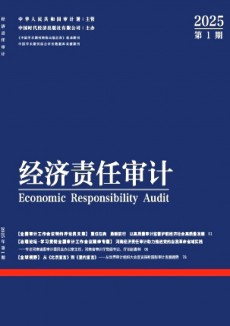 經(jīng)濟(jì)責(zé)任審計(jì)